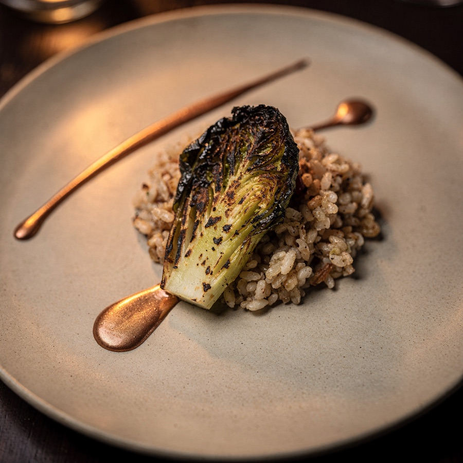 Charred brassica over cultured grain with a copper sauce line.